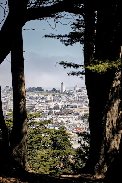Colpo verticale del distretto di Castro a San Francisco con alberi in primo piano