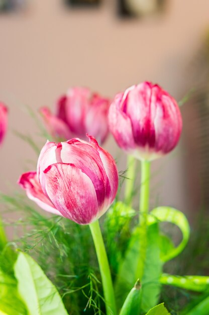 Colpo verticale del fuoco selettivo di tre tulipani rosa di un mazzo