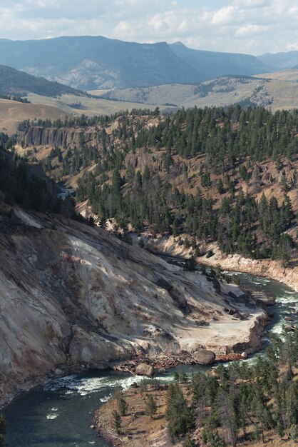 Colpo verticale del paesaggio nel Parco Nazionale di Yellowstone, Wyoming negli Stati Uniti