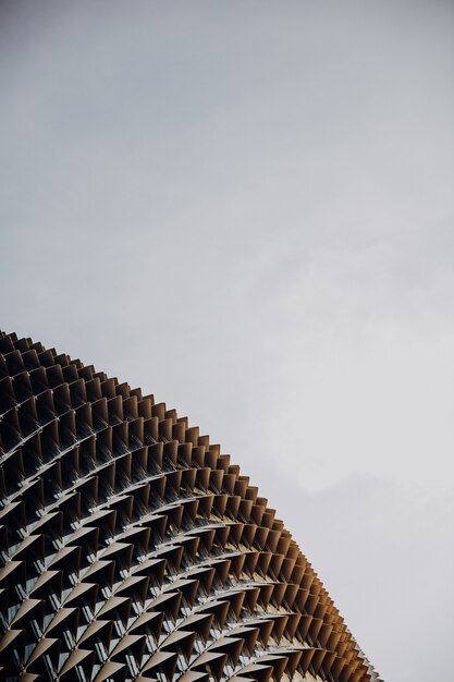 Colpo verticale del primo piano di Esplanade-Teatri sulla baia sotto un chiaro cielo a Singapore