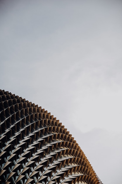 Colpo verticale del primo piano di Esplanade-Teatri sulla baia sotto un chiaro cielo a Singapore