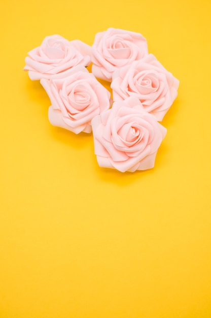 Colpo verticale del primo piano di rose rosa isolato su uno sfondo giallo con spazio di copia