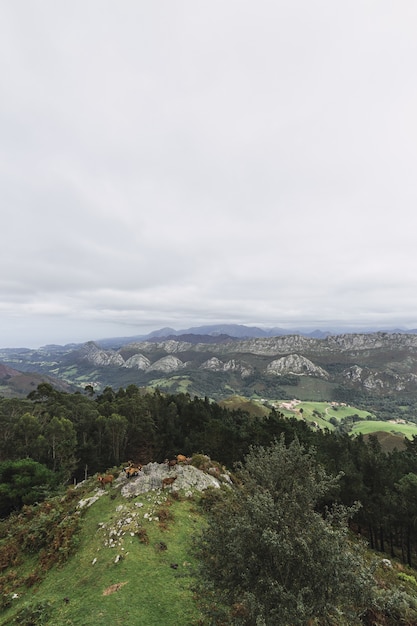 Colpo verticale della Caravia di Madrid, Spagna