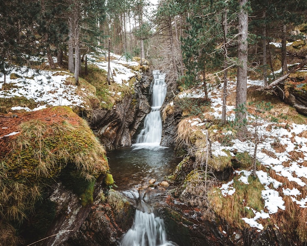 Colpo verticale delle cascate della cascata nel mezzo della foresta in inverno