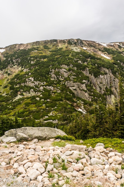 Colpo verticale delle montagne rocciose coperte di erba in una giornata nuvolosa