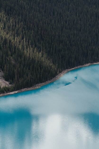 Colpo verticale delle nuvole che riflettono nel limpido lago ghiacciato circondato da una foresta