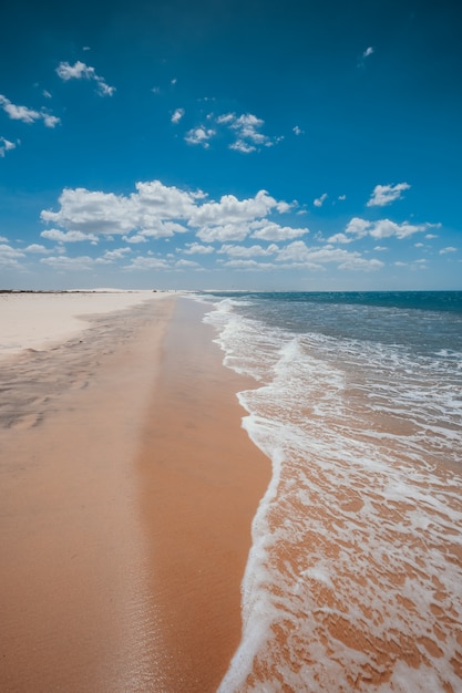 Colpo verticale delle onde spumose che arrivano alla spiaggia sabbiosa sotto il bel cielo blu