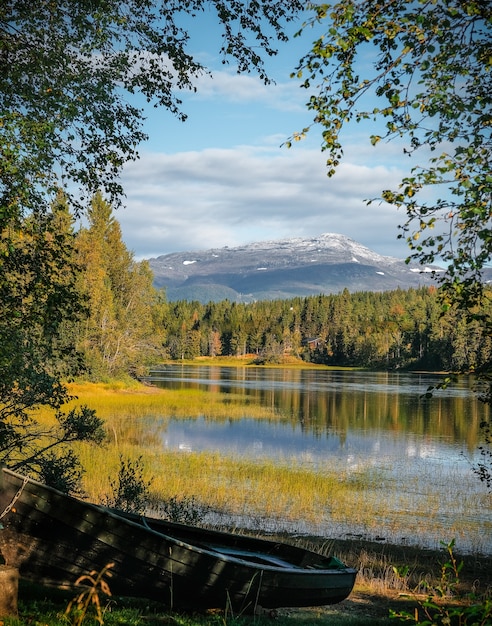 Colpo verticale di alberi che riflettono su un'acqua