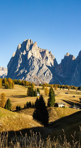 Colpo verticale di alberi ed edifici sulle colline con le montagne in lontananza nelle Dolomiti Italia