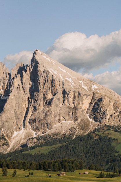 Colpo verticale di alte montagne circondate da alberi