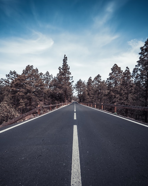 Colpo verticale di alto angolo di un'autostrada circondata da alberi sotto il cielo blu