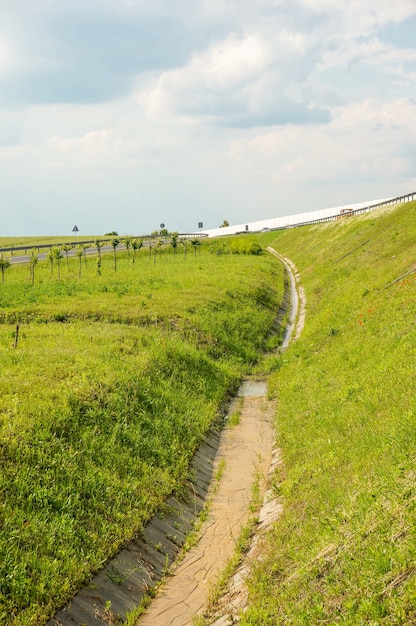 Colpo verticale di alto angolo di un campo erboso verde da un'autostrada