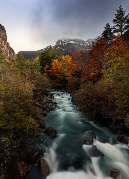 Colpo verticale di bellissimi colori autunnali di alberi lungo un fiume