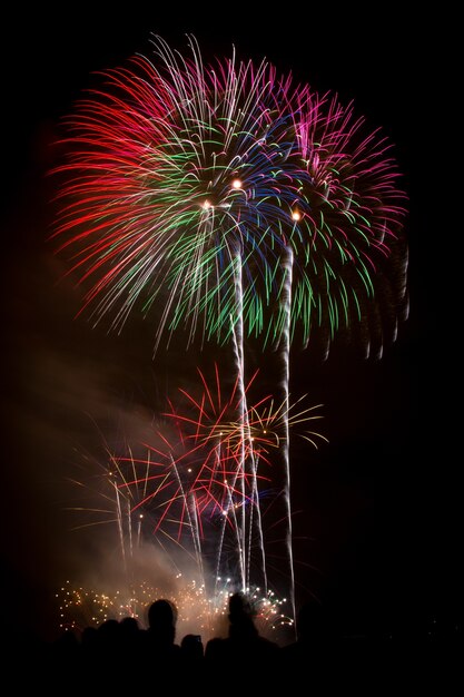 Colpo verticale di bellissimi fuochi d'artificio colorati sotto il cielo notturno scuro