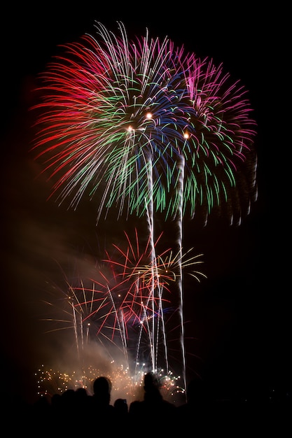 Colpo verticale di bellissimi fuochi d'artificio colorati sotto il cielo notturno scuro