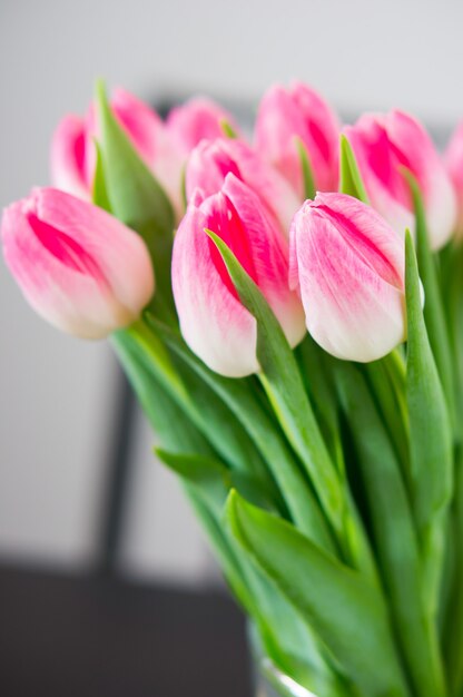Colpo verticale di bellissimi tulipani rosa con foglie verdi