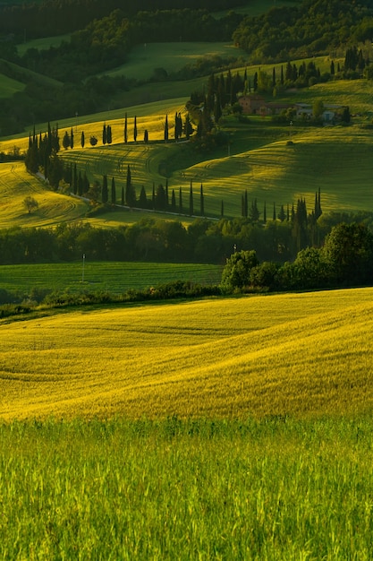 Colpo verticale di campi verdi circondati da colline di campagna