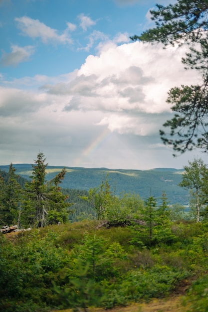 Colpo verticale di foresta, colline e un arcobaleno in una giornata nuvolosa