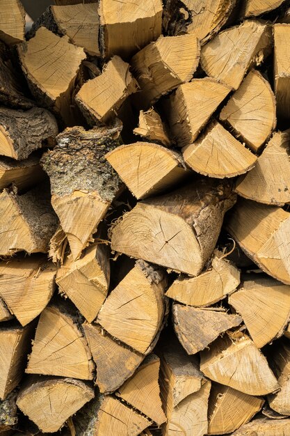 Colpo verticale di legna da ardere di quercia e faggio