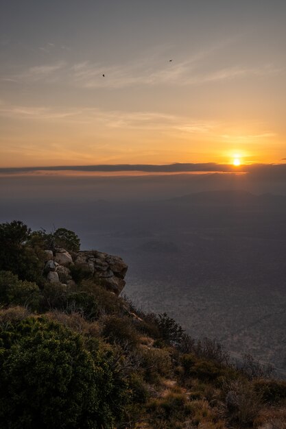 Colpo verticale di un albero coperto di montagna e il tramonto catturato in Kenya, Nairobi, Samburu