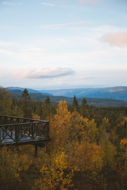 Colpo verticale di un balcone sopra il bellissimo albero con le montagne, Norvegia