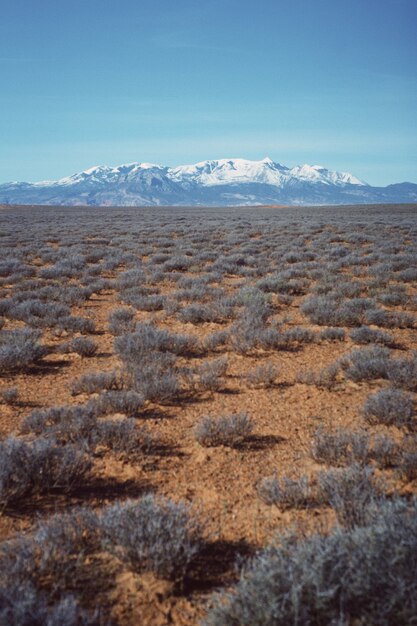 Colpo verticale di un bellissimo campo desertico con vegetazione secca e una collina innevata visibile in lontananza