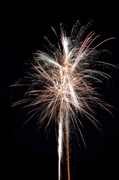 Colpo verticale di un bellissimo fuoco d'artificio che esplode