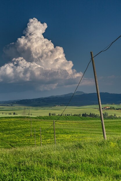 Colpo verticale di un campo verde con pali dell'elettricità in Val d'Orcia Toscana, Italia