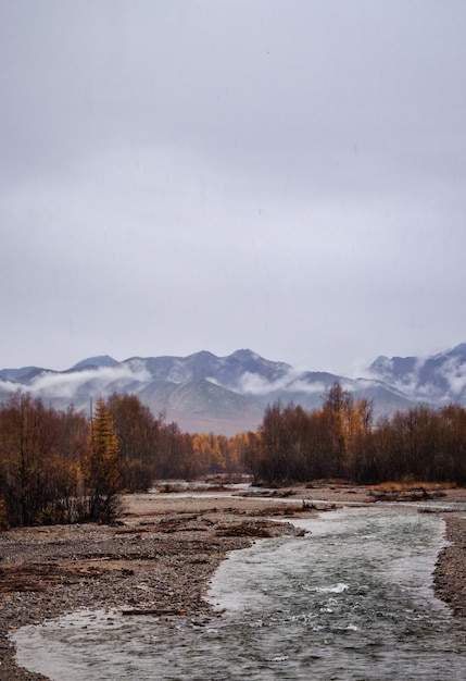 Colpo verticale di un fiume nel mezzo di un campo con alberi e montagne la distanza