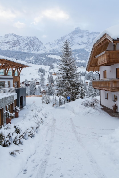 Colpo verticale di una bella giornata invernale