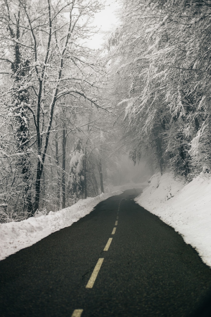 Foto gratuito colpo verticale di una bella strada vuota circondata da boschi innevati