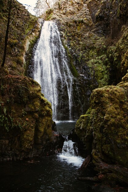 Colpo verticale di una cascata circondata da rocce e vegetazione sotto la luce del sole durante il giorno