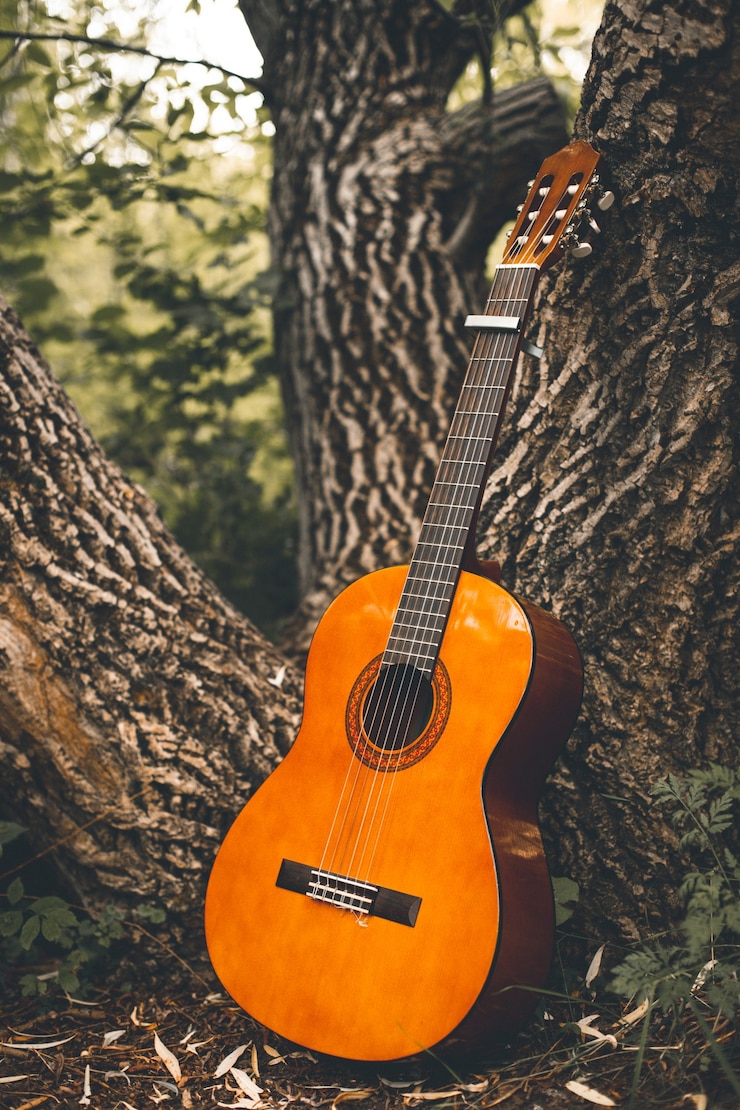 Foto gratuito colpo verticale di una chitarra appoggiata al tronco di un albero nel mezzo di una foresta