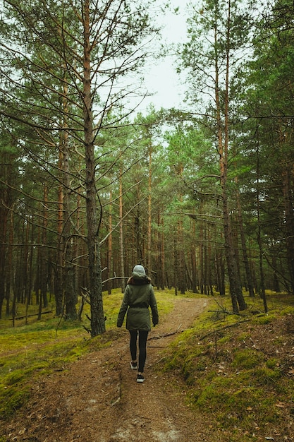 Colpo verticale di una donna che cammina attraverso la foresta