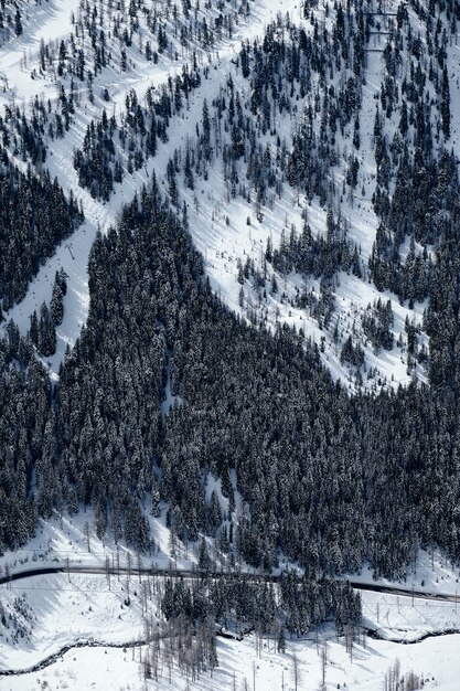 Colpo verticale di una montagna boscosa coperta di neve in Col de la Lombarde