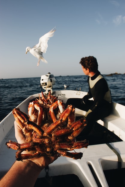 Colpo verticale di una persona che tiene un granchio con un maschio vago che si siede sulla barca vicino ad un gabbiano