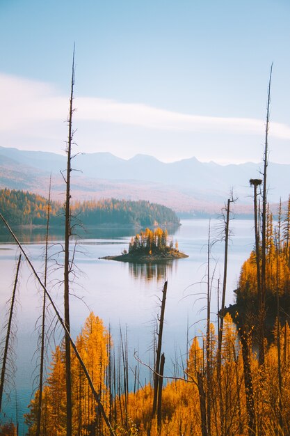 Colpo verticale di una piccola isola con alberi a foglia gialla in mezzo all'acqua