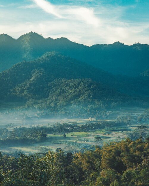 Colpo verticale di una splendida valle di montagna con alberi verdi e coperto di nebbia mite.
