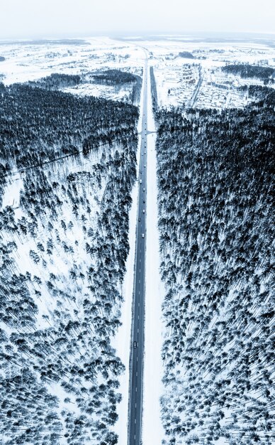 Colpo verticale di una strada circondata da abeti e neve