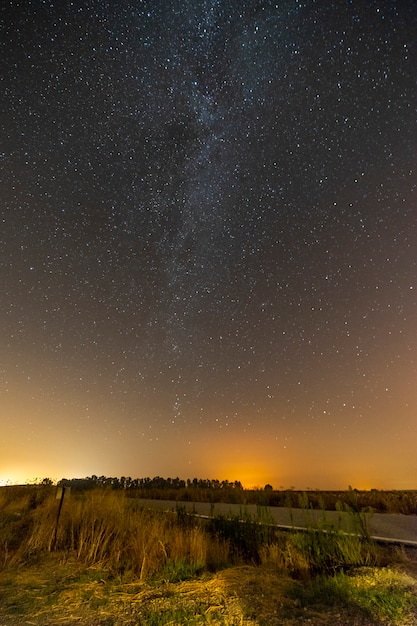 Colpo verticale di una strada vuota circondata dal verde sotto un cielo stellato