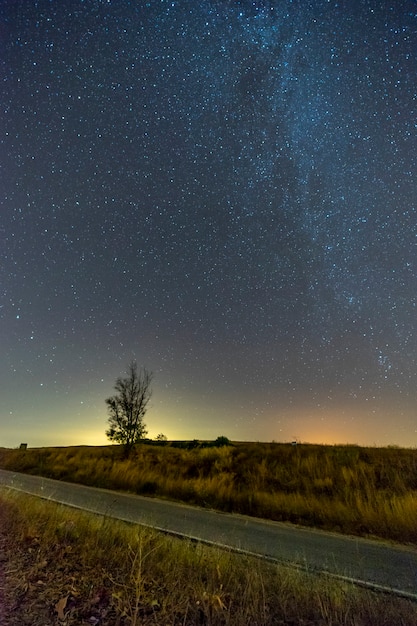 Colpo verticale di una strada vuota tra il verde sotto un cielo blu stellato