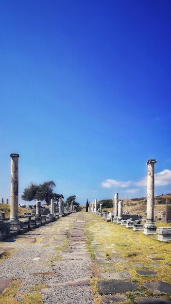 Colpo verticale di vecchie colonne nel mezzo di un campo