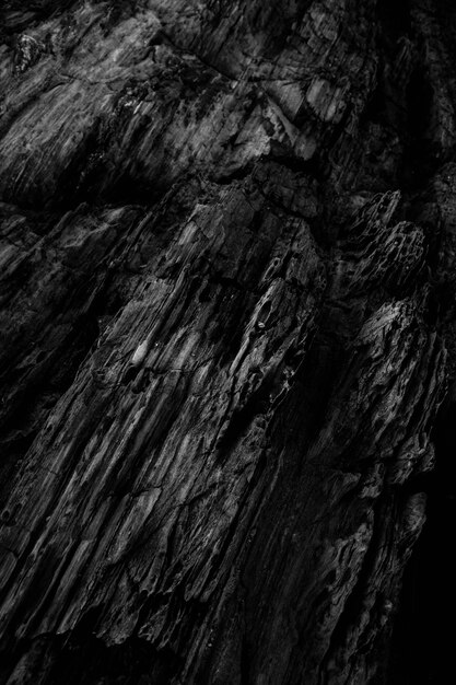 Colpo verticale in scala di grigi dei motivi sulle scogliere rocciose