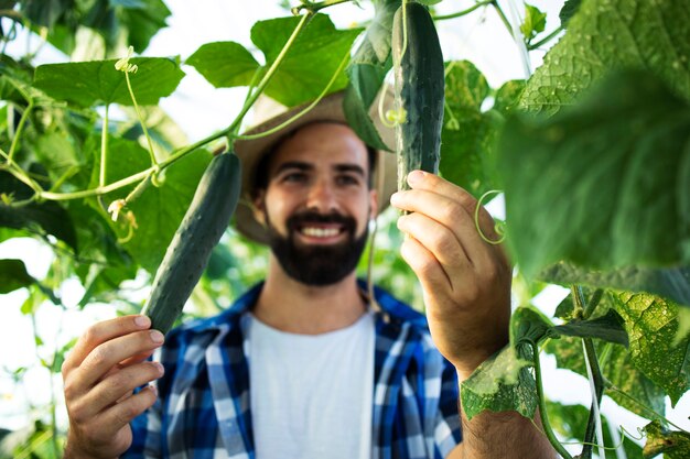 Coltivatore di giovane uomo barbuto che cresce e controlla le verdure in serra