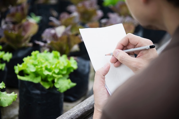 Coltivi l'uomo che lavora nel suo giardino organico della lattuga