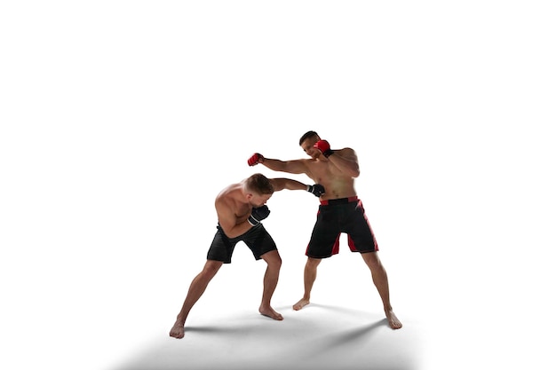Combattenti MMA su sfondo bianco