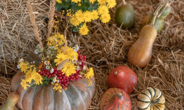 Composizione autunnale con zucche in stile rustico