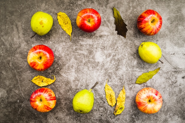 Composizione autunnale di mele e foglie