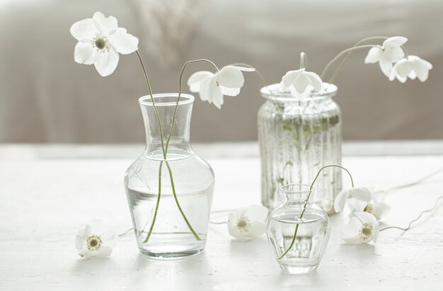 Composizione con delicati fiori primaverili in vasi di vetro su uno sfondo sfocato