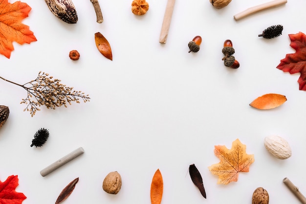 Composizione cornice autunnale elementi